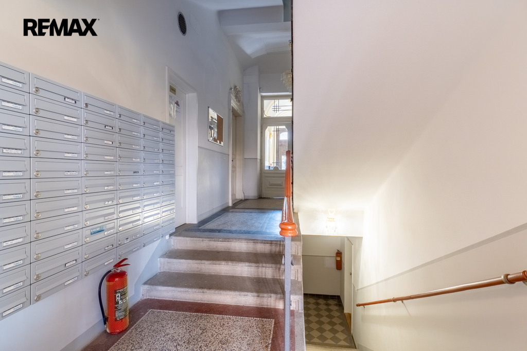 Fotku se nepodařilo načíst.