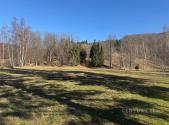 Prodej pozemku, trvalý travní porost, 3 194 m²