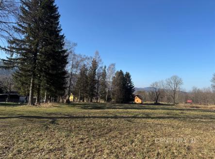 Prodej pozemku, trvalý travní porost, 3 194 m²