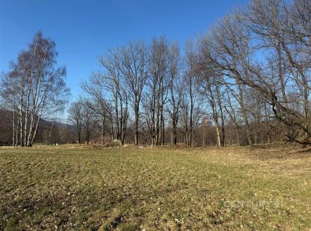 Prodej pozemku, trvalý travní porost, 3 194 m²