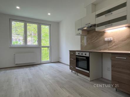 Pronájem bytu, 1+kk, 25 m²