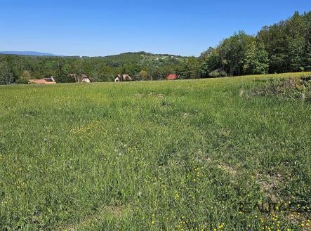 Prodej - pozemek, trvalý travní porost, 47 667 m²