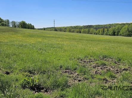 Prodej - pozemek, trvalý travní porost, 47 667 m²