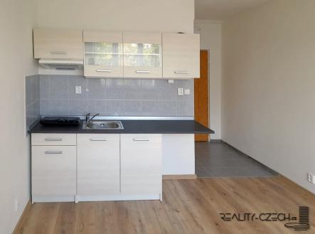 Pronájem bytu, 1+kk, 20 m² obrázek