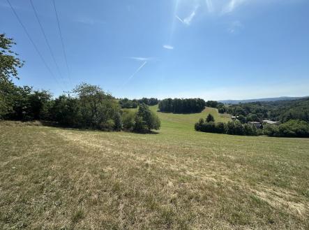 Prodej pozemku, trvalý travní porost, 12 734 m²