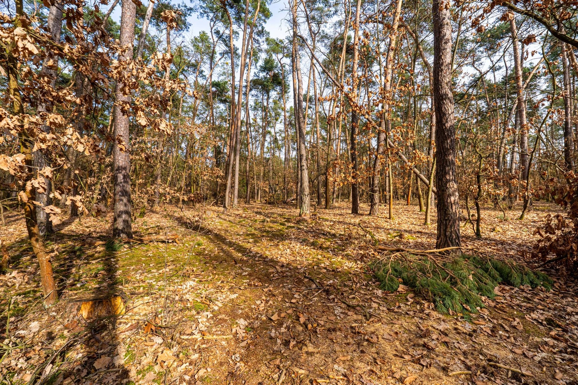 Kersko_rozlišení pro web-5