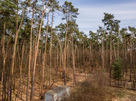 Prodej pozemku pro bydlení, 4 600 m²