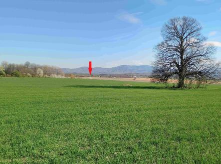 Prodej domu/vily, 350 m²