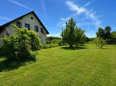 Nemovitost