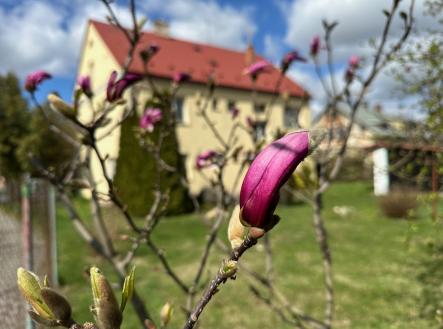 Prodej domu/vily, 320 m²