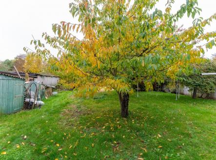 Prodej pozemku pro bydlení, 1 290 m²