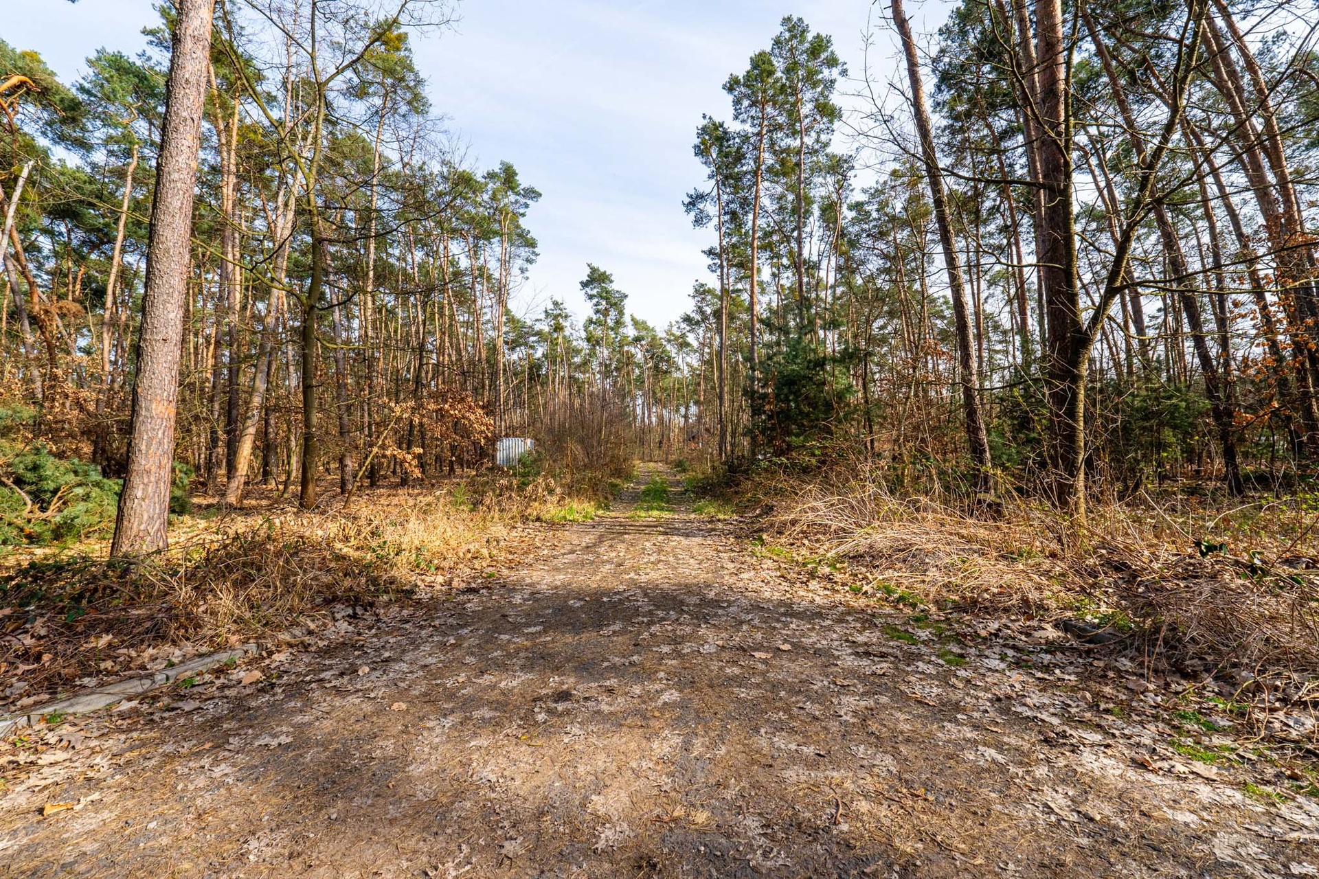 Kersko_rozlišení pro web-1