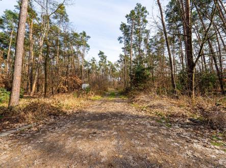 Prodej pozemku pro bydlení, 4 428 m² obrázek