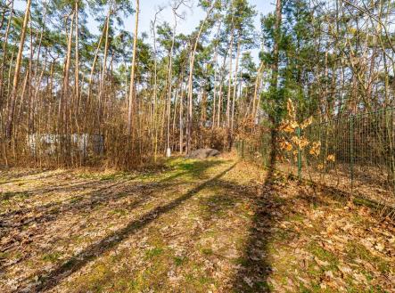 Prodej pozemku pro bydlení, 4 428 m²