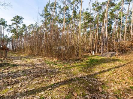 Prodej pozemku pro bydlení, 4 428 m²