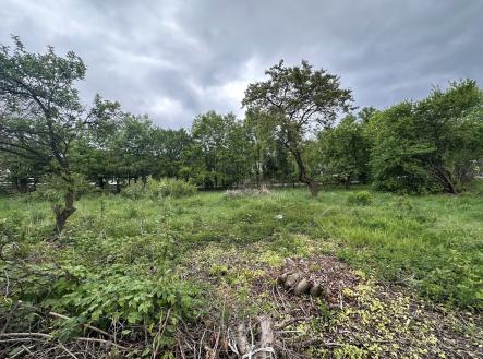 Prodej pozemku pro bydlení, 1 290 m²