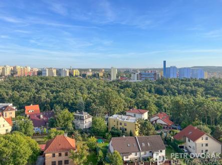 Prodej bytu, 1+kk, 24 m²