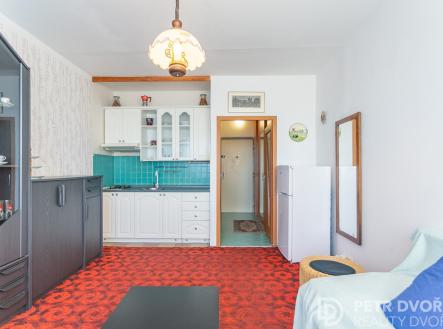 Prodej bytu, 1+kk, 24 m²