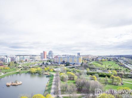 Pronájem bytu, 2+kk, 45 m²