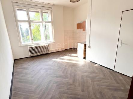 Pronájem bytu, 1+kk, 22 m²