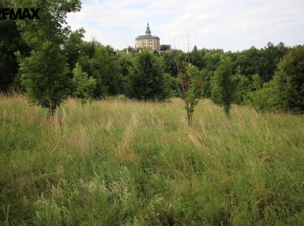 Prodej pozemku, trvalý travní porost, 25 331 m²