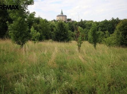 Prodej pozemku, trvalý travní porost, 25 331 m²
