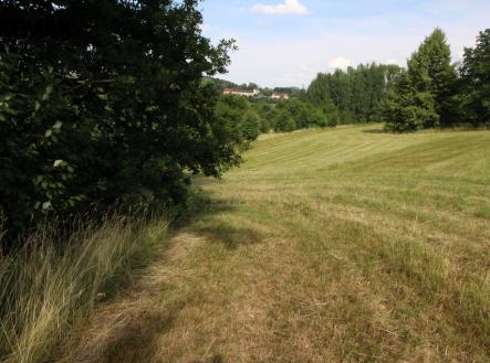 Prodej pozemku, trvalý travní porost, 25 331 m²