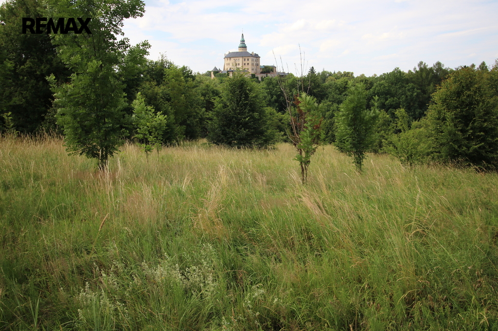 img-1590.jpg