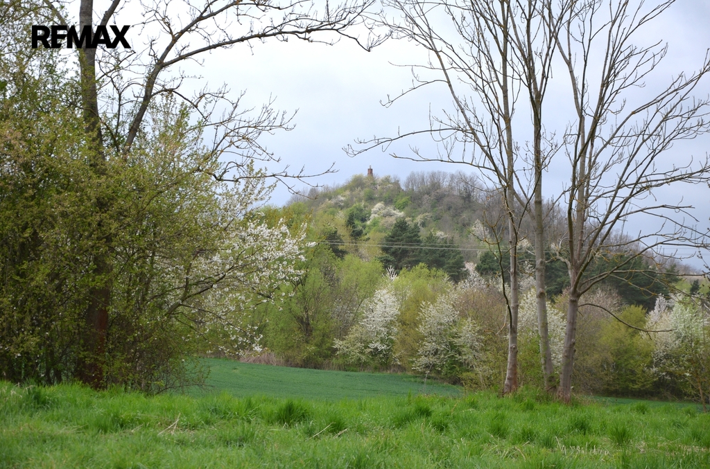 Výhled na zříceninu hradu Veliš