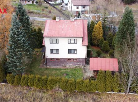 Orchid Casel de Paradise.