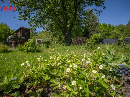 Prodej - pozemek, zahrada, 956 m²