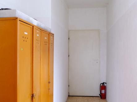 +420 604 191 744 I denisa.myslivcova@re-max.cz