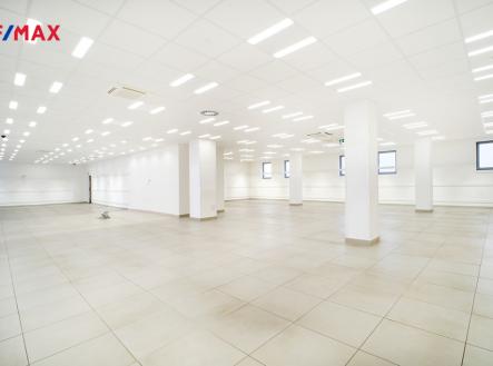 Pronájem obchodní prostor, 550 m²