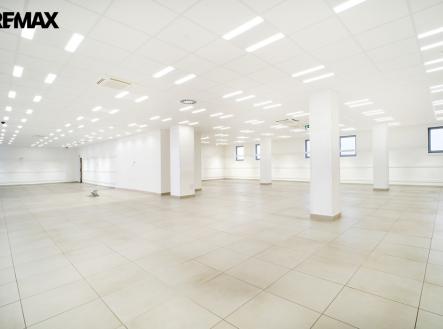 Pronájem obchodní prostor, 550 m²