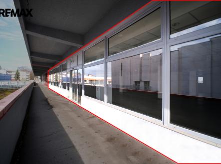 Pronájem obchodní prostor, 550 m²