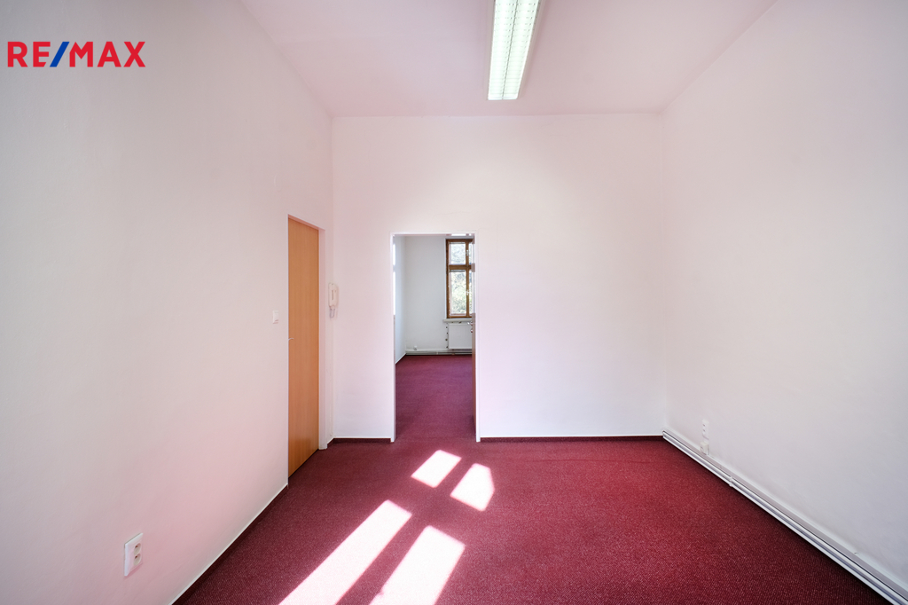 +420 604 191 744 I denisa.myslivcova@re-max.cz