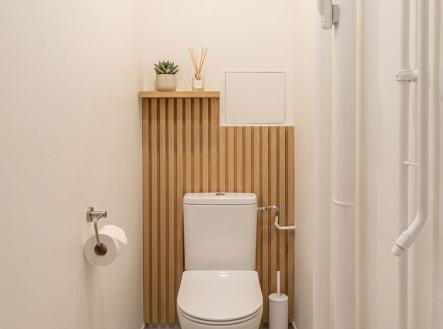 vizu-wc.jpeg