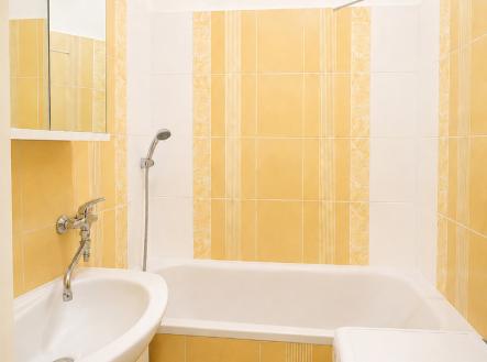 Byt 3+1| Denisa Sochová | +420 730 823 682 | denisa.sochova@re-max.cz