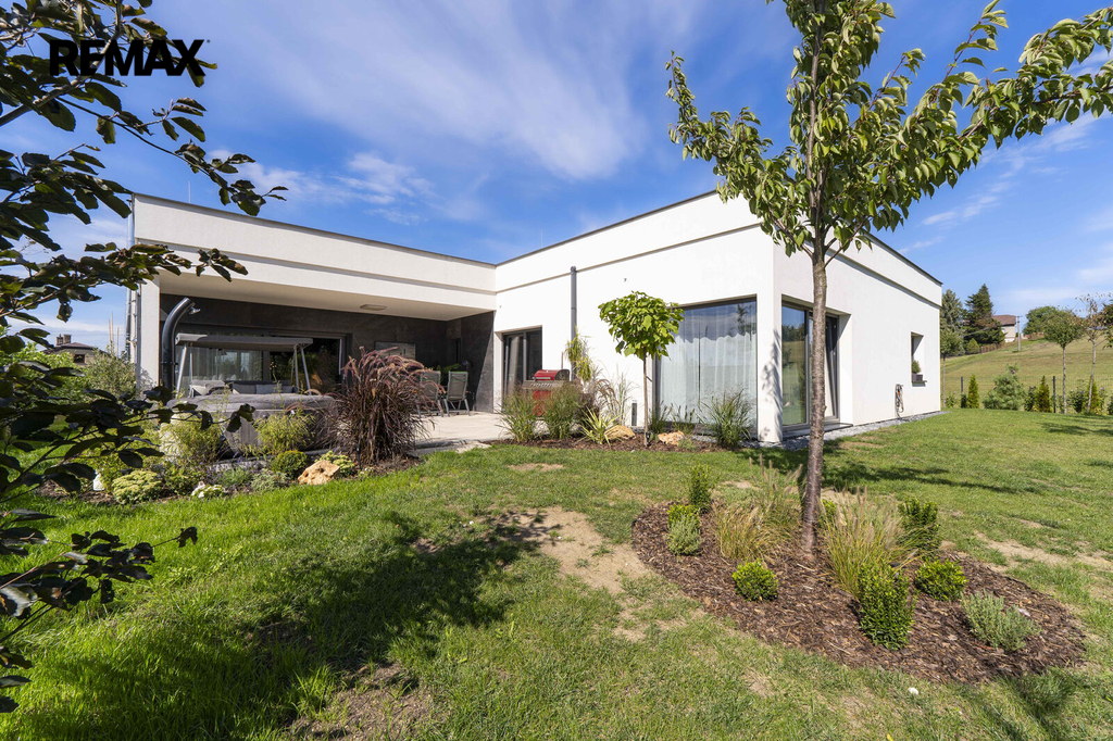 cdp06297.jpg
