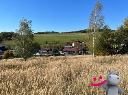 Prodej pozemku pro bydlení, 1 124 m²