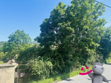 Prodej pozemku pro bydlení, 1 804 m²