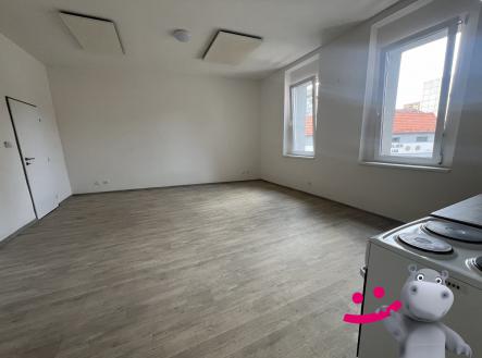 Pronájem bytu, 2+kk, 60 m²