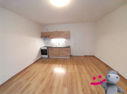 Pronájem bytu, 1+kk, 26 m²