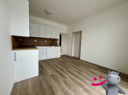 Pronájem bytu, 2+kk, 43 m²