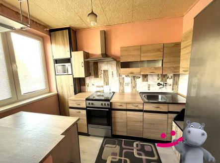 Prodej bytu, 3+1, 58 m²