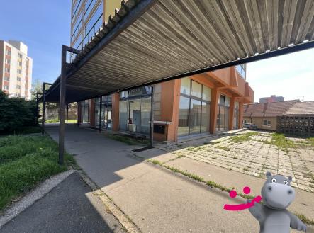 Prodej - obchodní prostor, 218 m²