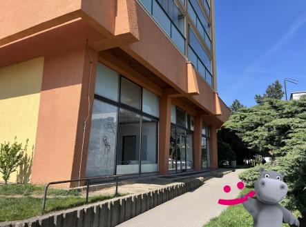 Prodej - obchodní prostor, 218 m²
