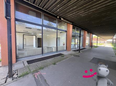 Prodej - obchodní prostor, 218 m²
