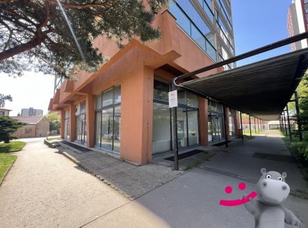 Prodej obchodní prostor, 218 m²