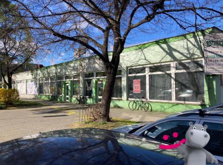 Prodej - obchodní prostor, 752 m²